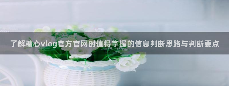 糖心vlog在线免费观看:了解糖心vlog官方官网时值得掌握的信息判断思路与判断要点