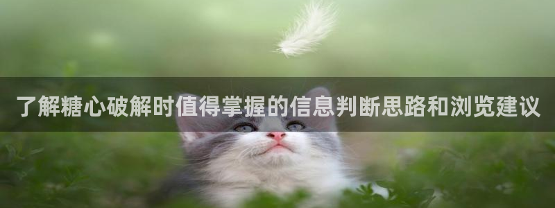 糖心传媒在线观看：了解糖心破解时值得掌握的信息判断思路和浏览建议