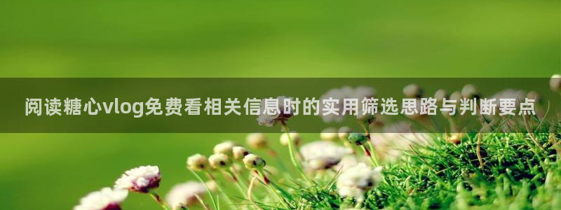 糖心vlogapp官网