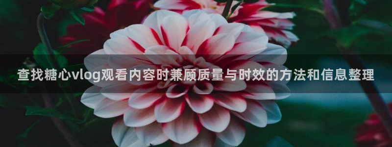 糖心破解