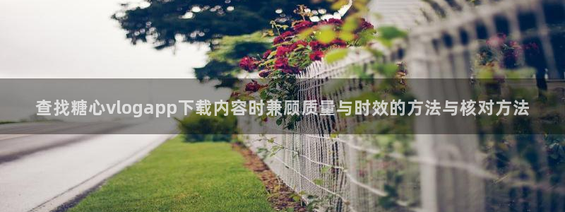 糖心官方最新版