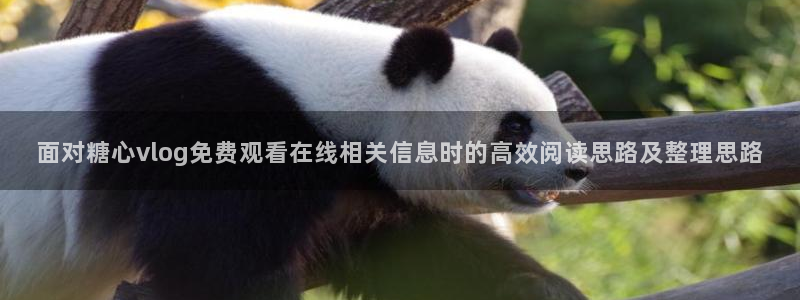 糖心在线观看