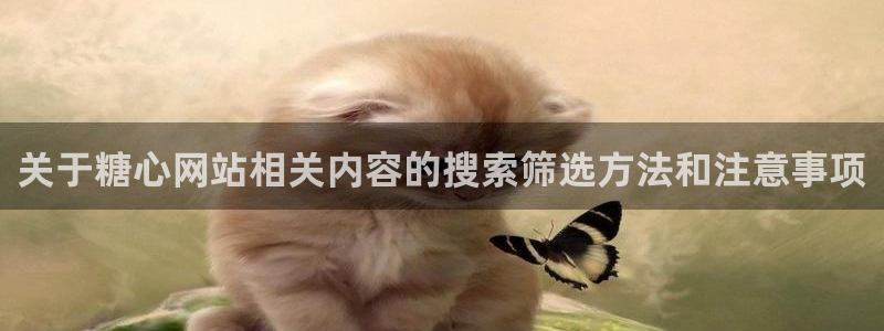 糖心vlog御梦子