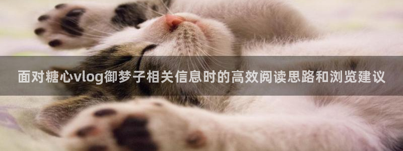 糖心破解版