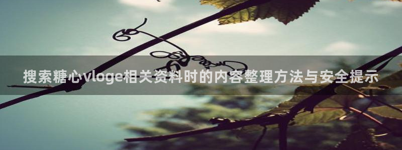 糖心vlog官网下载