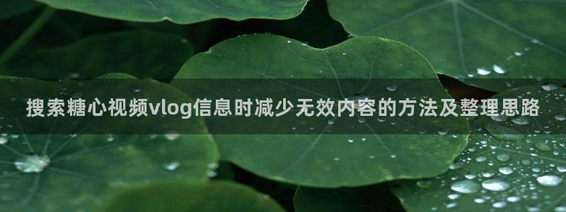 糖心：搜索糖心视频vlog信息时减少无效内容的方法及整理思路