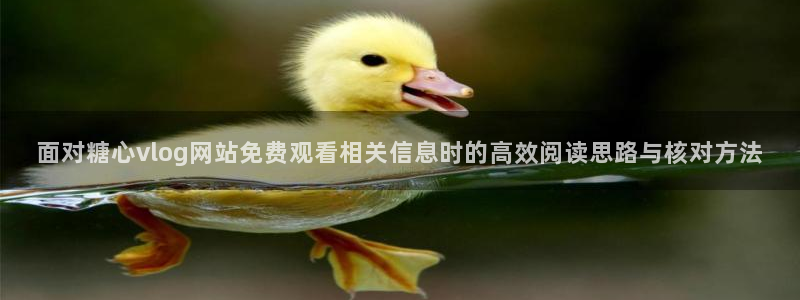 糖心视频在线播放：面对糖心vlog网站免费观看相关信息时的高效阅读思路与核对方法