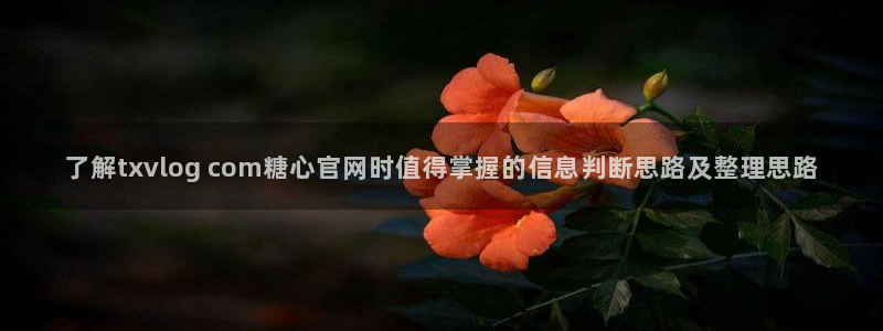 糖心视频官网