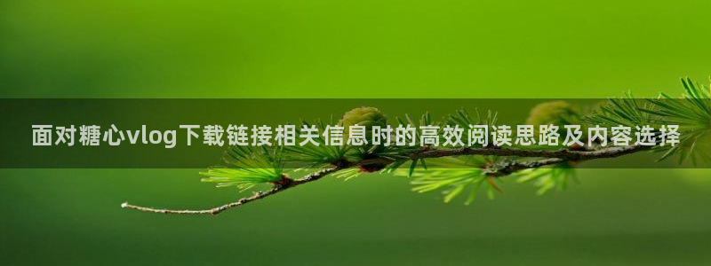 糖心vlog免费在线观看:面对糖心vlog下载链接相关信息时的高效阅读思路及内容选择