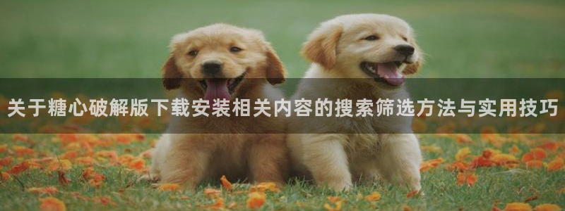 糖心破解版下载