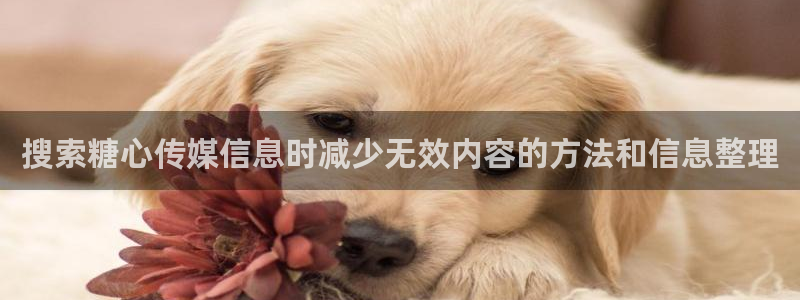 糖心网站