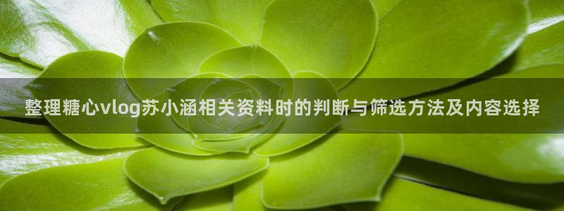糖心下载链接:整理糖心vlog苏小涵相关资料时的判断与筛选方法及内容选择