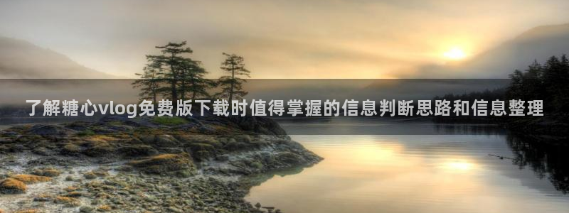 糖心视频免费在线观看