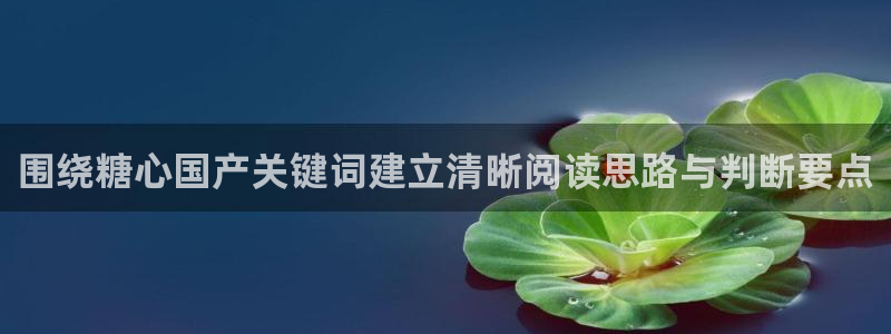 糖心vlog网站免费观看