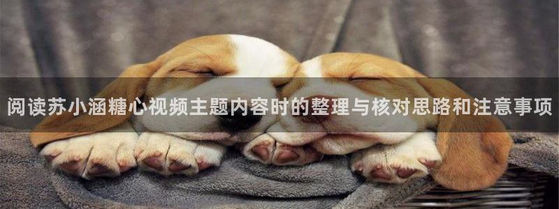 糖心vlog免费看:阅读苏小涵糖心视频主题内容时的整理与核对思路和注意事项