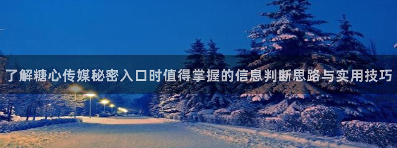 糖心vlog官方官网：了解糖心传媒秘密入口时值得掌握的信息判断思路与实用技巧