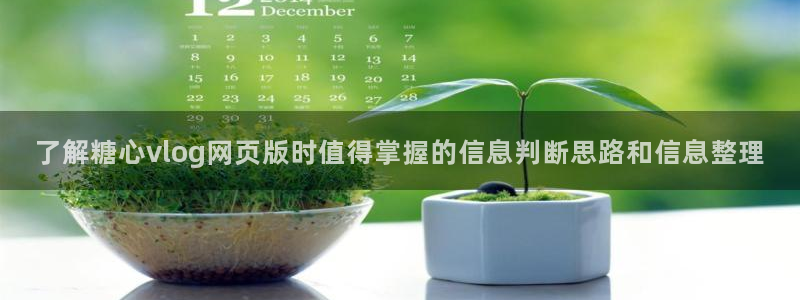 糖心少女logo：了解糖心vlog网页版时值得掌握的信息判断思路和信息整理