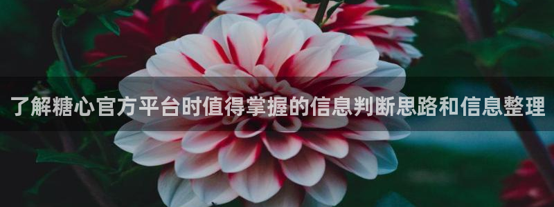 糖心短视频:了解糖心官方平台时值得掌握的信息判断思路和信息整理